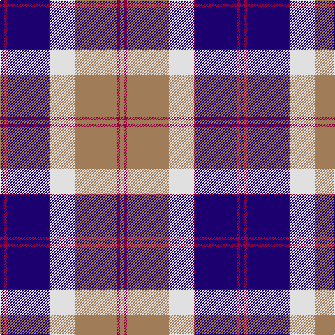 DB/6 R4 DB60 R2 LN36 LT60 R4 LT/6 tartan Tartan detail