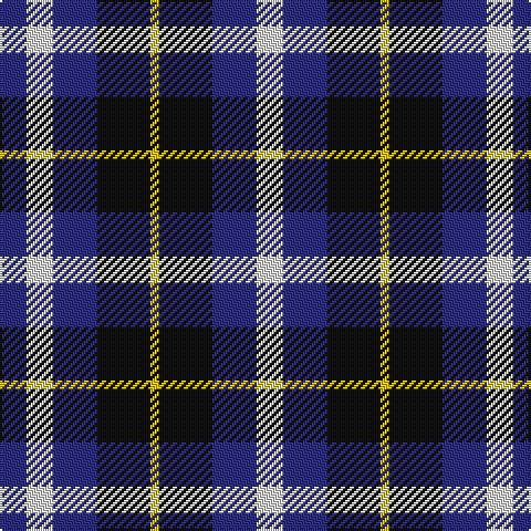 DB/12 LN12 DB20 K24 Y4 K24 DB20 LN/12 tartan Tartan detail