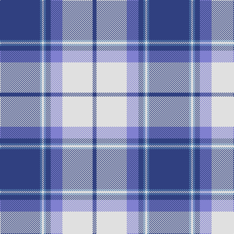 Ba/82 Bb4 LN4 Bb4 Ba10 B24 LN62 Ba/8 tartan Tartan detail