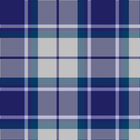 DB/84 LP4 N4 LP4 DB10 DBa24 N64 DB/8 tartan Tartan detail