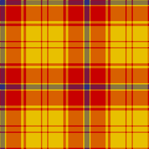 DB/16 Y4 R48 Y8 R8 Y48 R4 Y/16 tartan Tartan detail