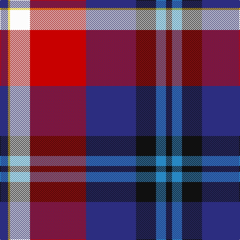 DB/16 Y4 W40 R112 DB100 K40 B20 K/12 tartan Tartan detail