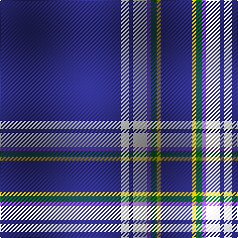 DB/122 LN8 DB4 LN14 P4 G6 Y4 DB/32 tartan Tartan detail