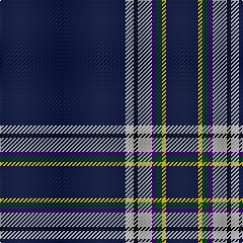 DB/124 W8 K4 W14 P4 G6 Y4 DB/32 tartan Tartan detail