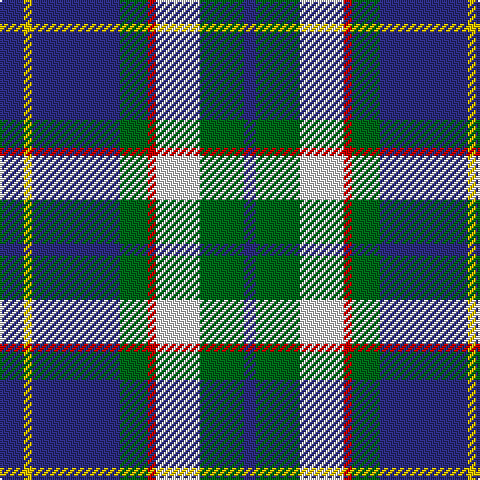 DB/12 Y4 DB44 G14 R4 LN22 G22 DB/6 tartan Tartan detail