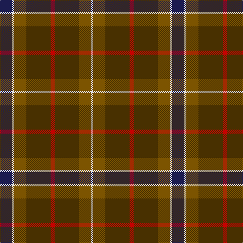DB/24 LN4 T24 Ta48 R8 Ta48 T24 LN/4 tartan Tartan detail