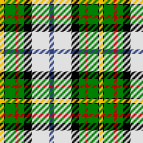 Y/14 K4 G32 R12 G18 K26 LN60 B/14 tartan Tartan detail