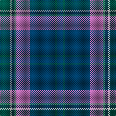Ga/20 W4 DN6 G4 P28 DB52 Ga4 DB/12 tartan Tartan detail