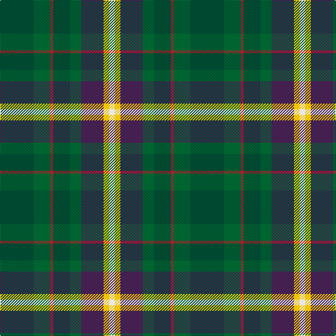 DG/48 G24 R4 DG24 G16 DP32 Y8 LN/8 tartan Tartan detail