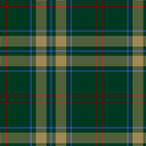 B/6 DG12 LT35 DG13 B6 DG75 DR6 DG/18 tartan Tartan detail