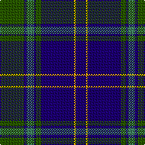 Ga/40 DB4 G12 DB4 Ga8 DB54 DY4 DB/16 tartan Tartan detail
