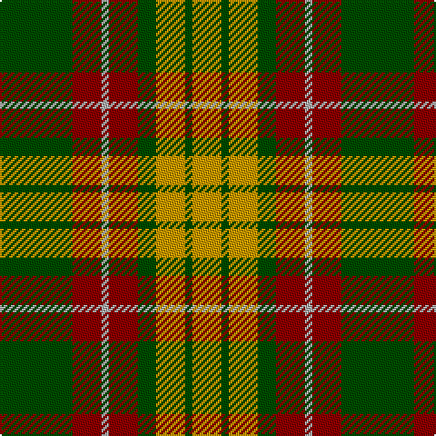 G/40 DR16 N4 DR16 G10 DY16 G4 DY/16 tartan Tartan detail