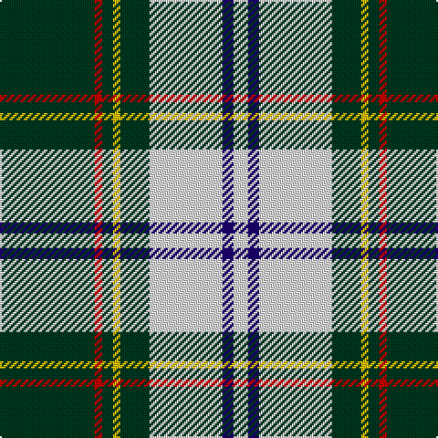 DG/52 R4 DG6 Y4 DG16 LN40 DB6 LN/8 tartan Tartan detail