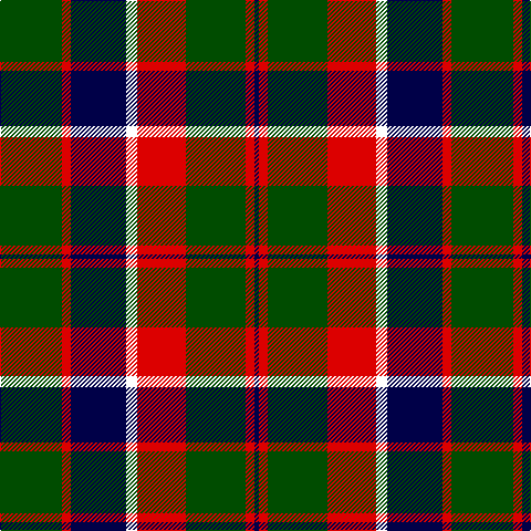 G/56 R8 DB50 W10 R44 G54 R8 DB/4 tartan Tartan detail