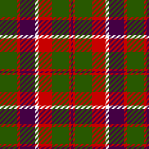 DP/4 R8 G54 R44 W10 DP50 R8 G/56 tartan Tartan detail
