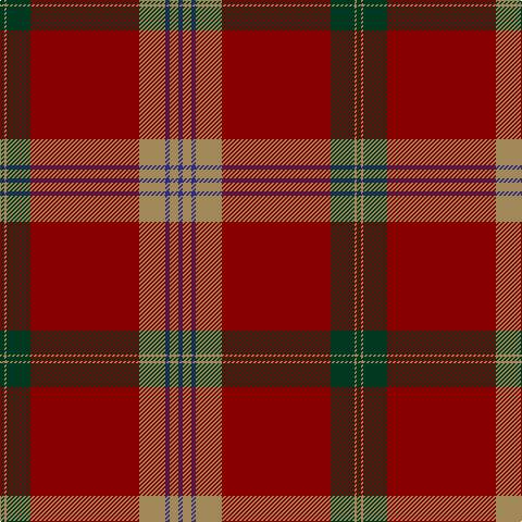 DG/4 LT2 DG22 DR100 LT24 DB4 LT8 DB/4 tartan Tartan detail