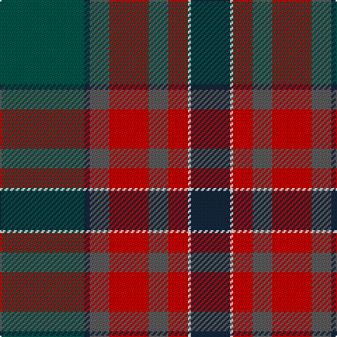 G/60 DN4 N14 R28 N14 R14 W2 DN/28 tartan Tartan detail