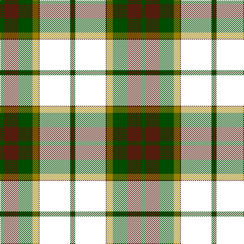 G/8 DR28 G28 LG12 DR2 W60 G4 DR/2 tartan Tartan detail