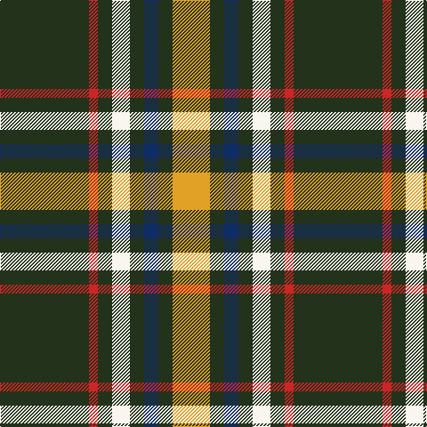 K/100 R10 K16 W20 K16 DB16 K16 Y/42 tartan Tartan detail
