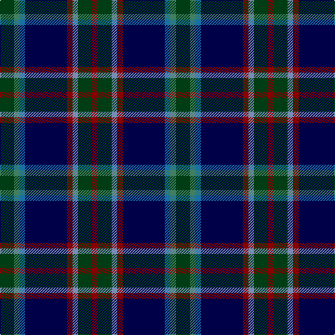 DG/20 G8 Ba8 DB60 DR8 B8 DG20 DR/8 tartan Tartan detail