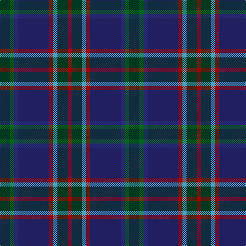 DG/20 G8 DB8 DBa60 DR8 B8 DG20 DR/8 tartan Tartan detail