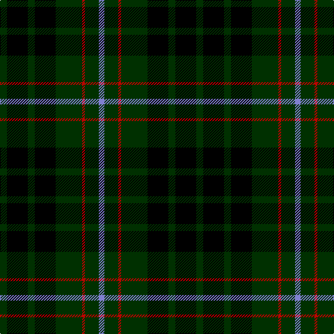 DG/10 K30 DG10 K30 DG38 R4 DG20 B/8 tartan Tartan detail