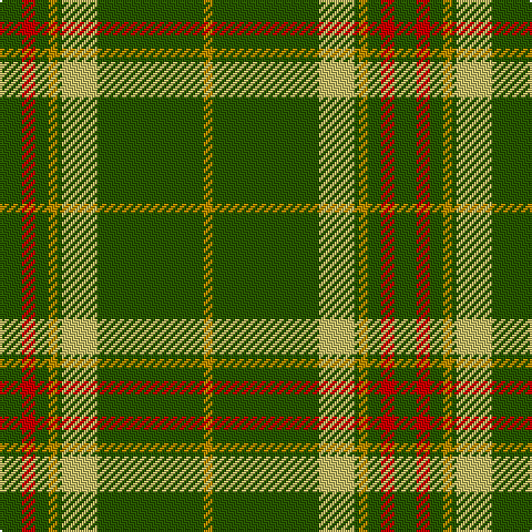 G/10 R6 G6 DY4 G2 LG16 G48 DY/4 tartan Tartan detail