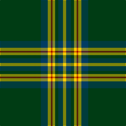 DG/156 DB26 Y12 DR6 Y10 DG12 DB18 Y/12 tartan Tartan detail
