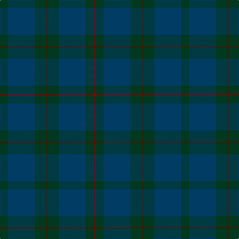 DG/16 DB54 DG22 DR4 DG22 DB54 DG16 DRa/4 tartan Tartan detail
