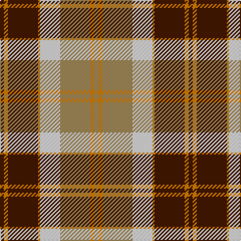 DR/4 O4 DR30 O2 LN20 LT30 O4 LT/4 tartan Tartan detail