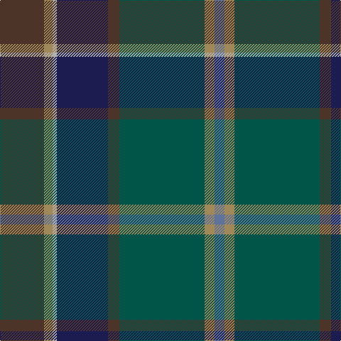 B/14 LT14 G120 T16 DB72 N6 LT12 T/62 tartan Tartan detail