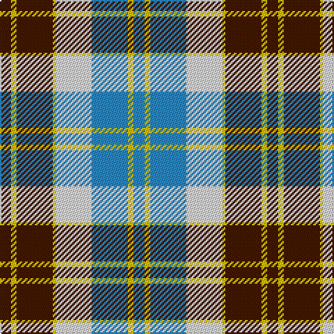 DR/8 Y4 DR26 Y2 LN26 B26 Y4 B/8 tartan Tartan detail