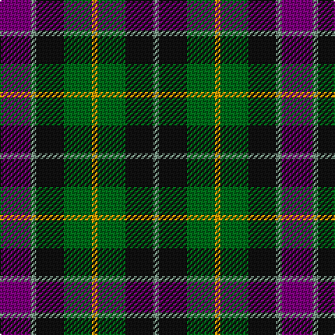P/22 LG4 K20 G20 DY4 G20 K20 LG/4 tartan Tartan detail