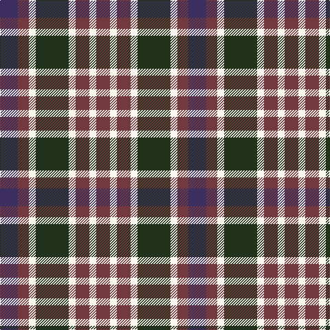 DB/26 DR16 W10 K48 W10 DR20 W10 DR/20 tartan Tartan detail