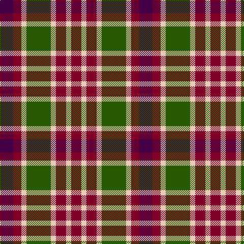 DP/26 DR16 LR10 G48 LR10 DR20 LR10 DR/20 tartan Tartan detail