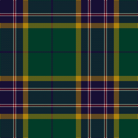 DBa/46 W2 DR6 W2 DBa24 DY18 DG80 DB/6 tartan Tartan detail