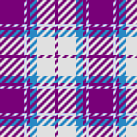 P/84 LP4 LN4 LP4 P10 B24 LN64 P/8 tartan Tartan detail
