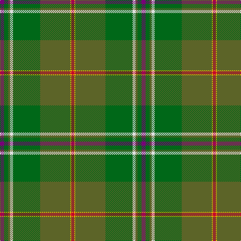 P/8 G8 Ga4 LN6 G54 Ga60 Y2 R/6 tartan Tartan detail