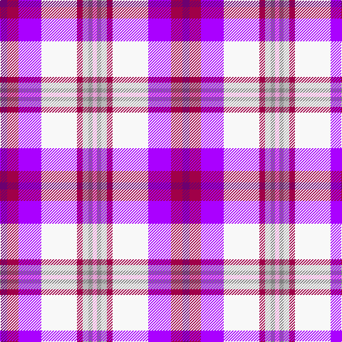 P/10 R16 Pa32 W50 R8 Na8 N6 LP/6 tartan Tartan detail