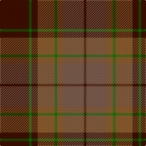 DR/48 G4 DR10 LT28 G4 LT10 LTa34 DR/4 tartan Tartan detail