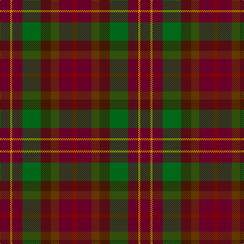 DR/20 DY4 DR20 G36 DRa20 T16 DR28 DRb/8 tartan Tartan detail