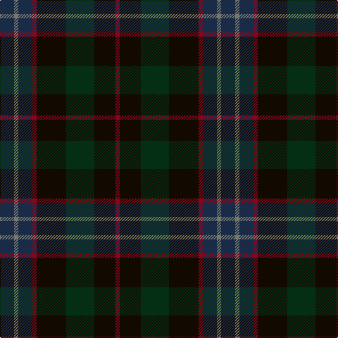 DN/20 N6 DN20 DR6 K42 DG40 K30 DR/6 tartan Tartan detail