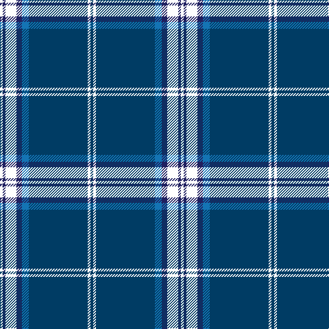 W/4 DB4 YY16 DB8 B10 DBa86 W4 DBa/4 tartan Tartan detail