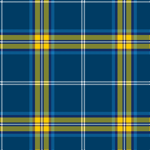 DB/4 W4 DB86 B10 DBa8 Y16 DBa4 W/4 tartan Tartan detail