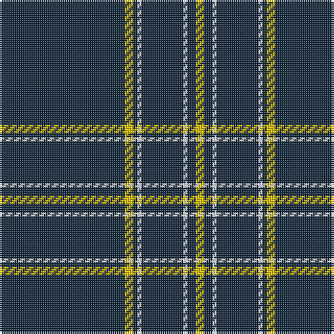DN/60 Y4 DN2 LN2 DN20 LN2 DN4 Y/4 tartan Tartan detail