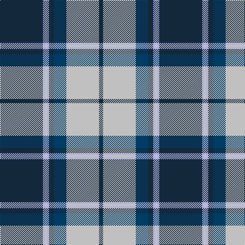 DN/84 LP4 N4 LP4 DN10 DB24 N64 DN/8 tartan Tartan detail