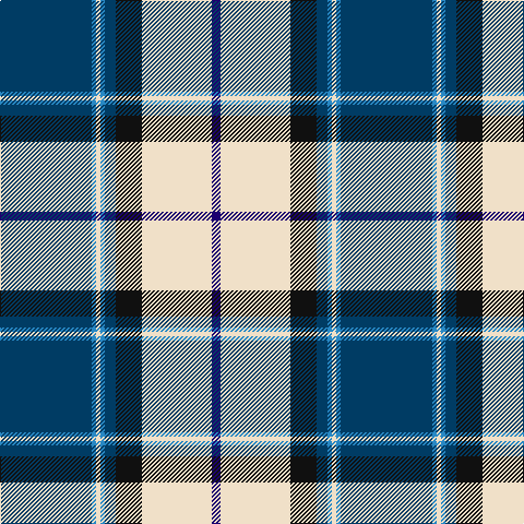 DBa/84 B4 W4 B4 DBa10 K24 W64 DB/8 tartan Tartan detail