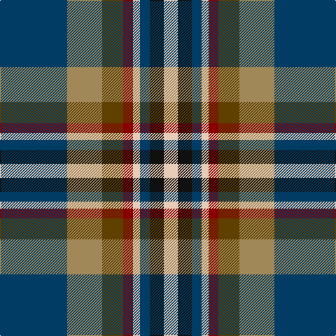 DB/96 LT50 T30 DR14 LR10 DB14 K20 LR/20 tartan Tartan detail