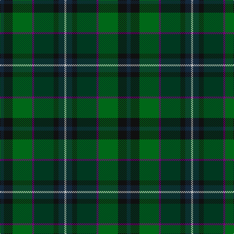 DN/8 K18 G40 P4 DG40 K10 DN12 N/4 tartan Tartan detail