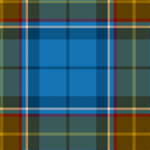 DB/10 B86 DB36 LR8 B12 DR10 T50 DY/10 tartan Tartan detail